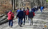 Auf der Wanderstrecke 