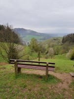 Blick auf Glottertal