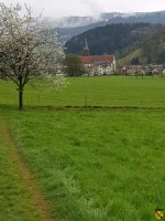 Blick auf Kirche