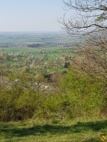 Blick auf Herrenberg und Gäu