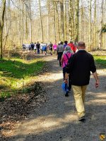 Wandergruppe im Wald