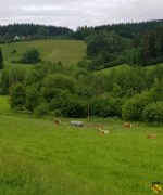 Betzweiler Blick ins Land