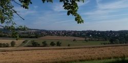 Blick auf Rotfelden