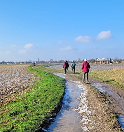 Herrlisheim 10kmStrecke 20231203