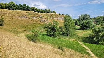 Naturschutzgebiet Kochhartsgraben und Ammertalhänge