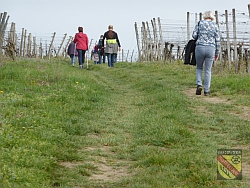 IVV Eichstetten Wanderweg