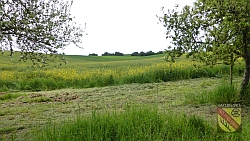 Landschaft Odenheim