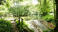 Am Pfannenwaldsee