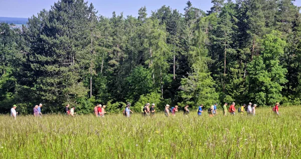 Wandergruppe Rotfelden auf dem Kühlenberg